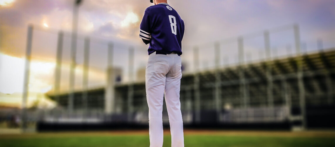 a baseball pitcher standing on the mound